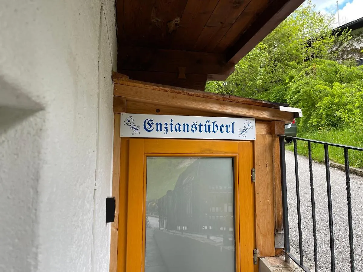 Apartment Ferienwohnung Lichtmannegger Gmbh Und Co Kg Ramsau bei Berchtesgaden